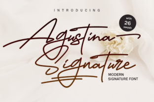 Agustina Signature Font: A Designer’s Branding Test