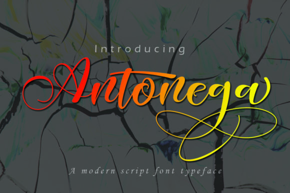 Antonega Font Review: Elevating Small Business Branding