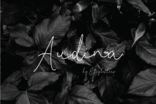 Audina Font Review: A Script Typeface for Campaigns