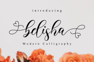 Belisha Font: Elevating Digital Brand Identity