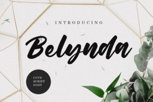 Belynda Font: Elevating Editorial Design