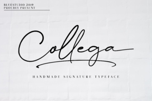 Collega: A Designer’s Review for Real Projects