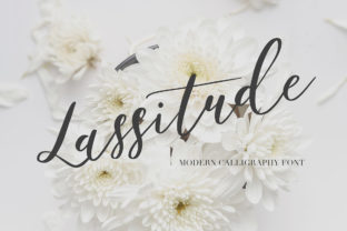 Elevate Brand Identity with the Lassitude Font