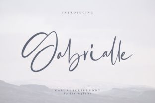 Gabrialle Font Review: A Script Typeface for Web Design