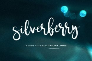 Silverberry Font Review: A Classy Script for Brand Identity